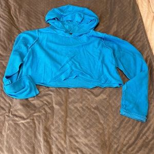 Kittenish Cropped Hoodie